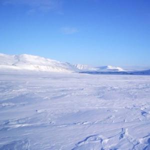 البشرية Gospodarska في نشاط gospodarska البرية في القطب الشمالي في القطب الشمالي