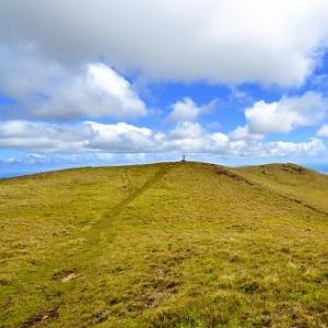 Velykų sala ir jos tylūs stabai Velykų salos akmeninės statulos