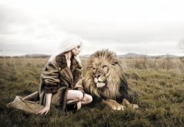 Perché una leonessa sogna: interpretazione del sonno per donne e uomini Leonessa attacca un libro dei sogni per gatti